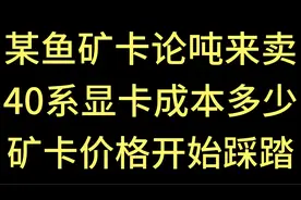 某鱼矿卡论吨来卖！40系显卡成本多少！矿卡价格开始踩踏！视频封面