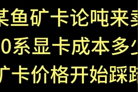 某鱼矿卡论吨来卖！40系显卡成本多少！矿卡价格开始踩踏！视频封面