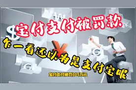 宝付支付被罚款305万元，看成支付宝了，那么宝付支付是什么呢？视频封面