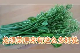 龙须菜，没想到有这么多好处。
