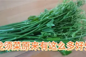 龙须菜，没想到有这么多好处。