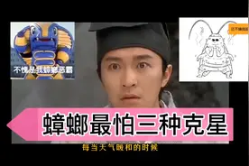 蟑螂最怕三种克星，真是一物降一物呀，西安灭蟑螂就找蟑螂哥啦视频封面