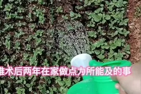 腰椎术后两年在家做点力所能及的事视频封面