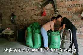 夫妻同心才叫家，两口子过日子，就应该大小事商量着来~视频封面