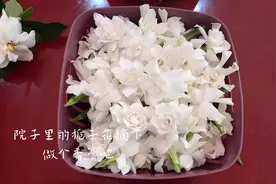 栀子花香膏制作过程，清香滋润，儿时难忘的情怀……视频封面
