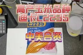 迪卡C2235，美系高产玉米种子，黑龙江早熟区，密度4500株每亩。视频封面