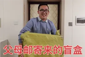 老李父母从黑龙江邮来一大箱农村特产，好像开盲盒，每样都是惊喜视频封面