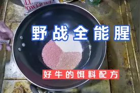 野战蓝鲫全能腥超级牛的饵料配方，爆护饵料比老三样好用。