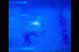 全运会第二枚金牌！广东选手全红婵跳水女子十米台决赛夺冠🏆