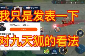 说一下对九天狐退网的看法视频封面