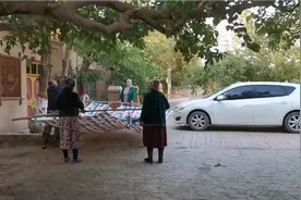 吐鲁番的桑椹视频封面