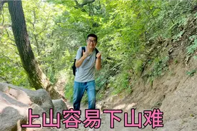 西安真的热爆了，跑到秦岭小五台山避暑，树木遮天蔽日，特别凉快视频封面