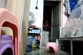 母猫发情了，网购抑情粉给猫咪第一次喂药，猫咪还算很乖很配合视频封面