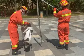 海南三亚：蛇类频繁出没 消防员抓蛇忙视频封面