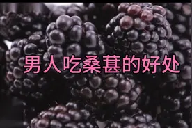 男人吃桑葚的好处视频封面