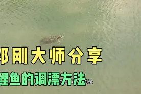 跟着大师学钓鱼：邓刚老师分享：几十年的鲤鱼调漂方法！视频封面