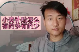 农民小麦补贴已发放，为什么有的多有的少？看完大家都明白了视频封面