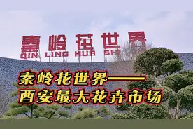 秦岭花世界——
西安最大花卉市场视频封面