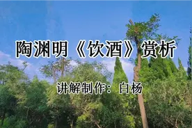 陶渊明《饮酒》赏析，采菊东篱下，悠然见南山。古诗词阅读（12）