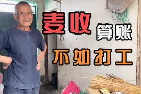 山东这地小麦亩产600斤，收割机一亩120元，最后算账剩下啥了视频封面