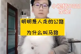 浅谈中视频伙伴计划17000播放量！人走的公路为什么叫马路！视频封面