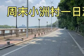 周末小洲村一日游，约上三五知己到此一游心情愉悦视频封面