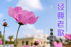 八十年代的【经典老歌】26首合集，无损音质，带你重温旧梦