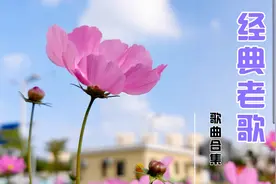 八十年代的【经典老歌】26首合集，无损音质，带你重温旧梦视频封面