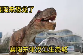 襄阳来恐龙了，襄阳东津汉江生态城视频封面