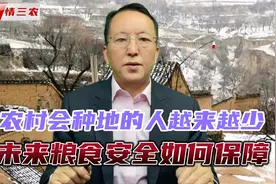 农村会种地的人越来越少，未来粮食安全如何保障？视频封面