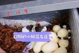 脏柠檬王蛇诞生，生了九颗蛋蛇妈产前产后身材差别巨大视频封面