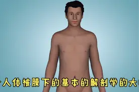 食管，胃，十二指肠，肝脏，胆囊，胰腺，阑尾，结肠……大概位置视频封面