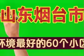 山东烟台市环境最好的60个小区视频封面