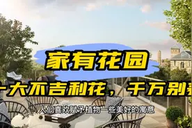 十大不吉利花，家里千万别养……视频封面