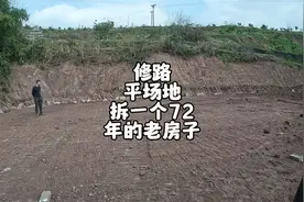 农村拆72年老房子 没想到挖到很长一条蛇 东家直呼快放掉视频封面