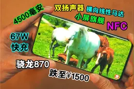 预算1500左右？骁龙870+4500毫安，被遗忘的真香小屏千元机视频封面