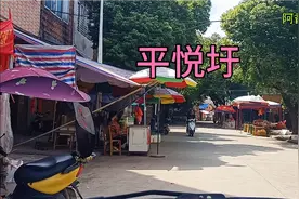 广西贵港市，港南区 平悦乡。视频封面