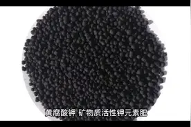 哪些农作物需要黄腐殖酸，又为什么需要呢？视频封面