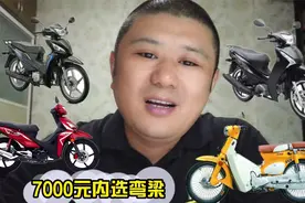 如何用不超过7000元预算选择一款弯梁车，小猪爸给你推荐几款视频封面