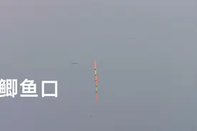 手杆5米4，水深3米，线组1.2-0.6，高清鲫鱼口视频封面