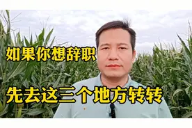 如果你想辞职，不想干活了，先去这三个地方转一转视频封面