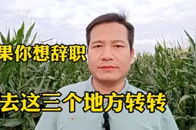 如果你想辞职，不想干活了，先去这三个地方转一转视频封面