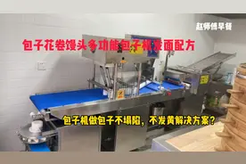 包子机发面配方，做出来的包子不发黄，不回缩，不卡馅解决方案？视频封面