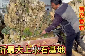 喜欢上水石的朋友看这里，纯天然的芦管石在山东只要1000多，便宜视频封面