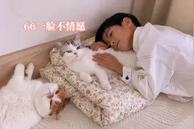有宠物陪伴的小学生，周末生活很精彩视频封面