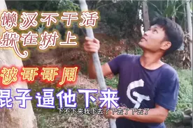 懒汉晒衣服的方式太逆天了，被哥哥狠狠的教训了一顿，太搞笑了视频封面