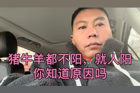 猪牛羊都不阳，就人阳，你知道原因吗？视频封面