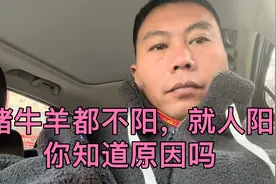 猪牛羊都不阳，就人阳，你知道原因吗？视频封面
