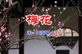 古诗词朗诵《梅花》（二年级语文上册）视频封面