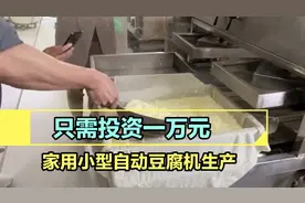 只需投资一万元，家用小型自动豆腐机，时产100斤豆腐老嫩都可以视频封面